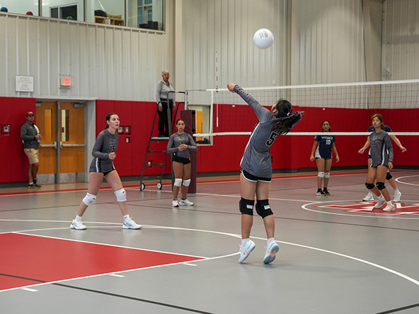 Varsity Volleyball Team Photo